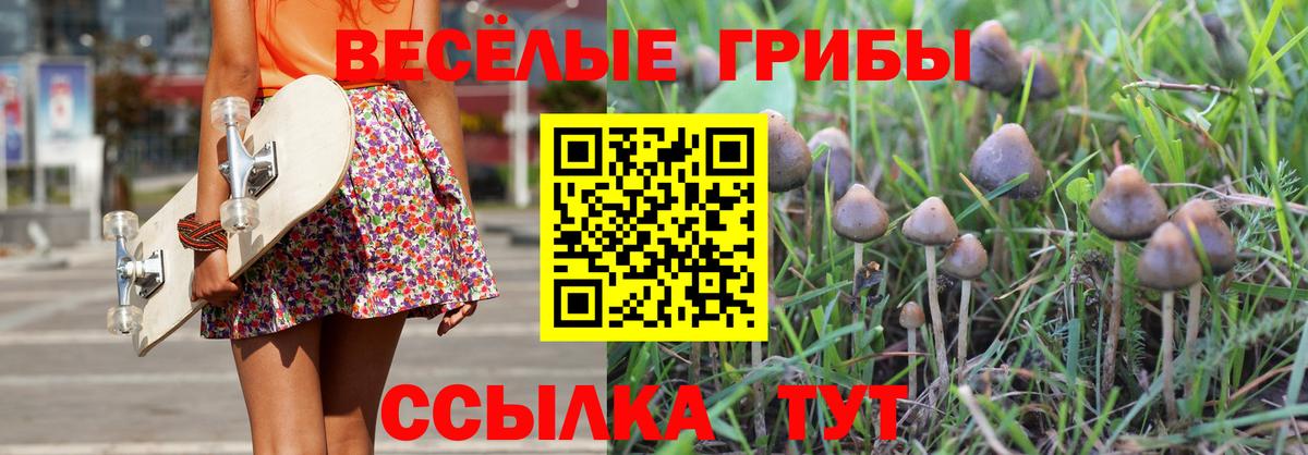 Галлюциногенные грибы мухоморы  Вход с VPN  Новосибирск  Псилоцибиновые грибы Psilocybe 