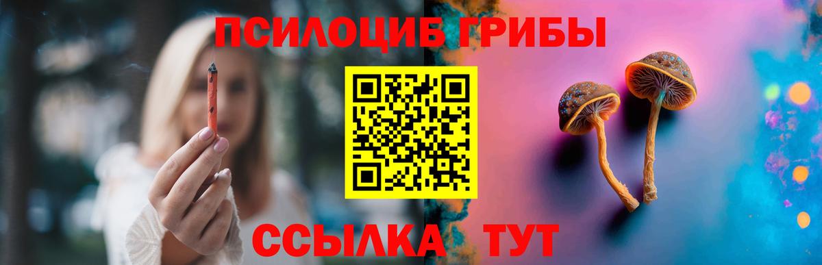 Псилоцибиновые грибы прущие грибы Новосибирск